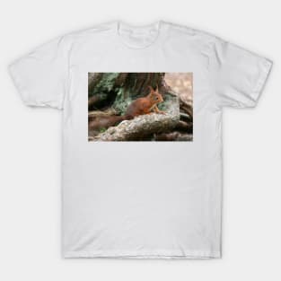 Red Squirrel, May 2019 T-Shirt